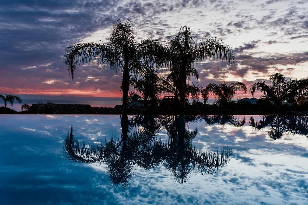 Cavo Zoe Seaside Hotel Protaras